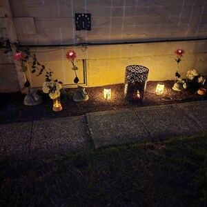 suzanne added a photo of their purchase