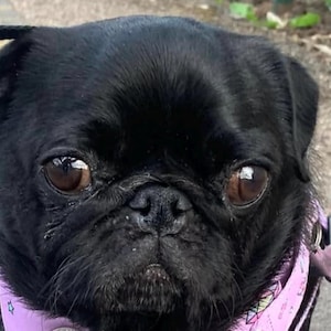 Holly added a photo of their purchase