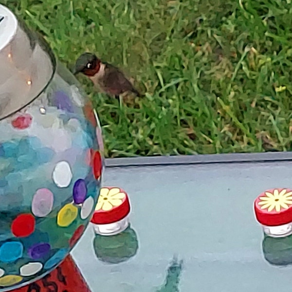 Trio of Hum-button™, Mini Hand Held Hummingbird Feeders New Style 2017 ...