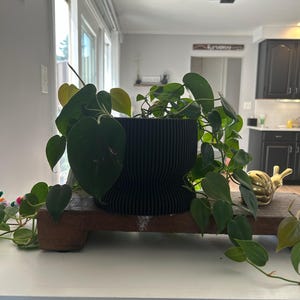 Sara added a photo of their purchase