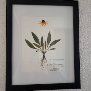 Kim added a photo of their purchase