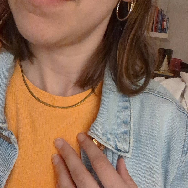 Minimal Snake Pendant Necklace for Women – Trendy Gold Chain Choker for Spring & Summer Looks main image 0