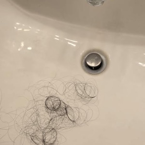 Kamelah lade till en bild av sitt köp