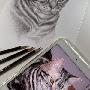 Walter added a photo of their purchase