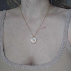 Lex added a photo of their purchase