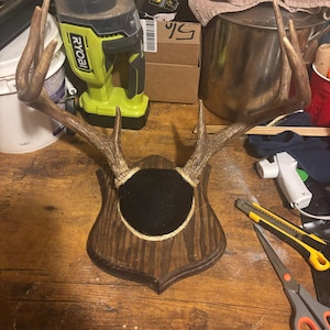 christopher added a photo of their purchase