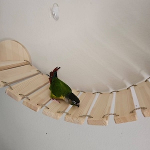 Sara added a photo of their purchase