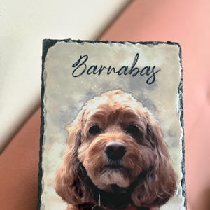 chrissy added a photo of their purchase
