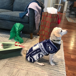 Tampa Bay Lightning Fleece Dog Coat NHL Stretchy Dog Sweater -  UK