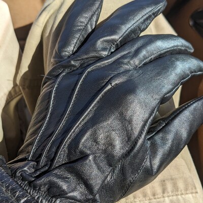 Celia Mid Length Gloves