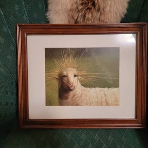 Marsha ha añadido una foto de su compra