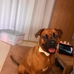 Maddy dodał(a) zdjęcie swoich zakupów