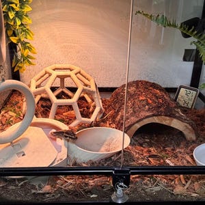 Katelyn added a photo of their purchase