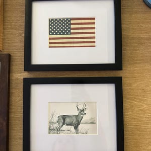 Molly added a photo of their purchase