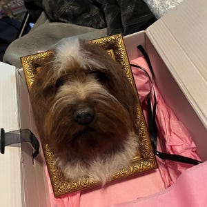 Logan added a photo of their purchase