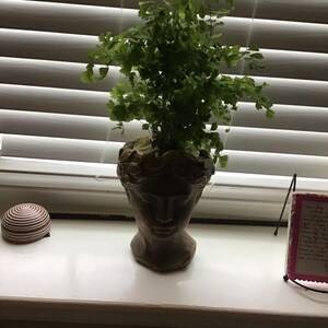 Alisa ha añadido una foto de su compra