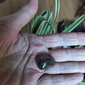 Isabelle added a photo of their purchase