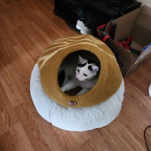 A added a photo of their purchase