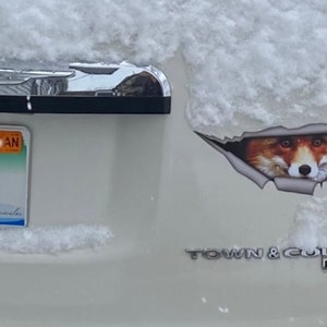 TC ha aggiunto una foto del proprio acquisto