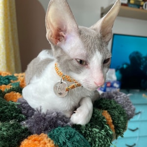 Gaëlle added a photo of their purchase
