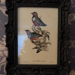 April added a photo of their purchase