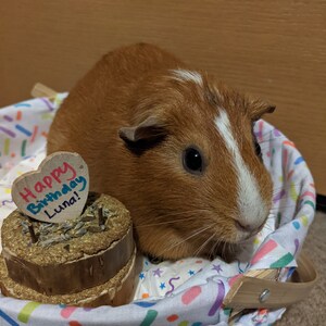 Gateaux Danniversaire De Creature Ou De Jour De Gotcha Etsy France