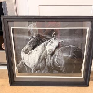 Melanie added a photo of their purchase