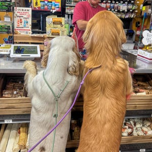 Marie added a photo of their purchase