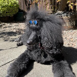 Catriona ha añadido una foto de su compra