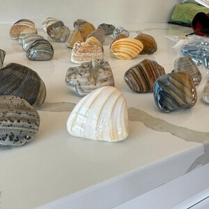 Buddy さんが購入した商品の写真を追加しました