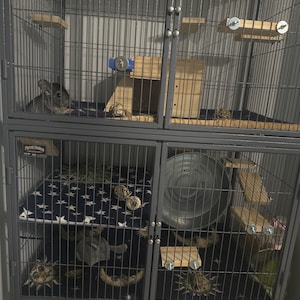 Ryzhova, added a photo of their purchase