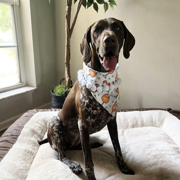 Puppachino Sprinkles Snap Closure Dog Bandana, Birthday Dog Bandana ...