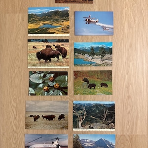 Kensi added a photo of their purchase