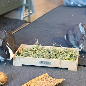 Alice added a photo of their purchase