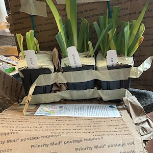 Whitney added a photo of their purchase