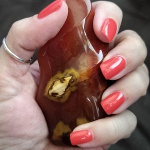 Julia added a photo of their purchase