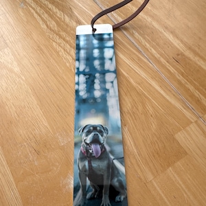 Ashley added a photo of their purchase