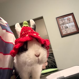 Christina added a photo of their purchase