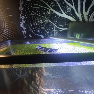 View of Mini Aquarium Rocks and Stones,aquarium Decor,aquascape,aquascaping ...