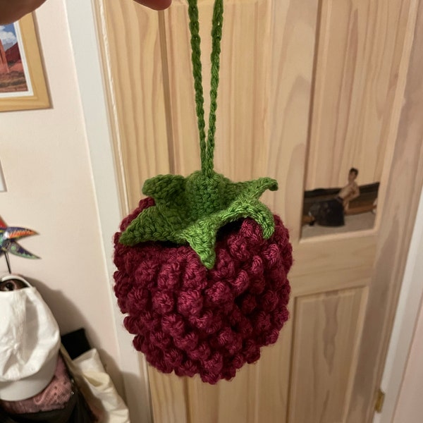 Raspberry Pocket Pal Crochet Pattern - Etsy UK