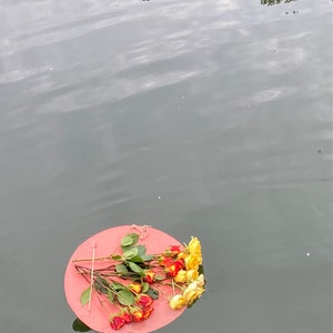 Alla ha aggiunto una foto del proprio acquisto