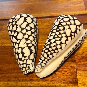 Leah added a photo of their purchase