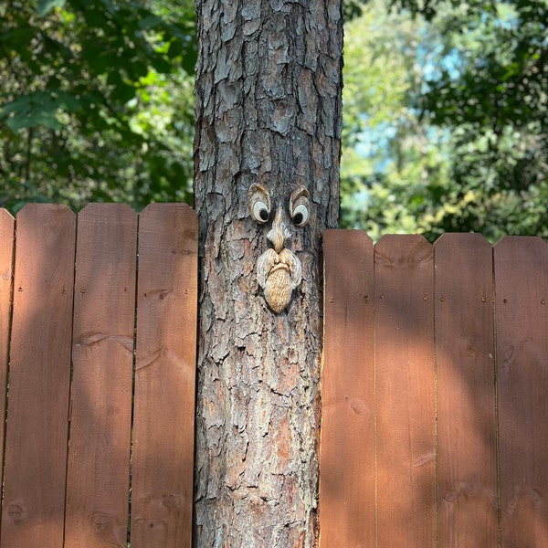 The ORIGINAL & GENUINE Mr. Grumpy Stump Tree Face Gift for Dad Fun ...