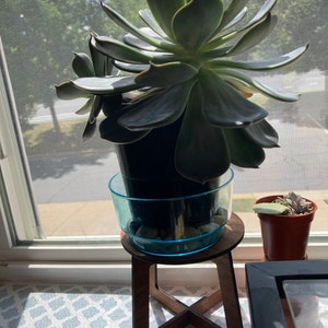 Briana added a photo of their purchase