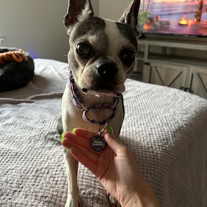 Molly added a photo of their purchase