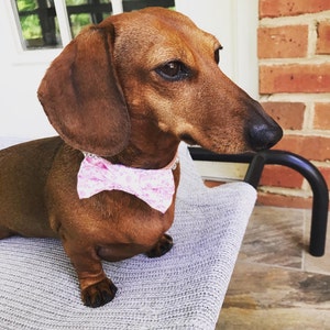 Estelle added a photo of their purchase