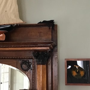 Will added a photo of their purchase