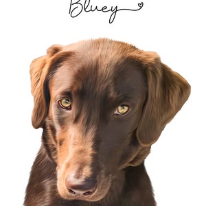 Aimee added a photo of their purchase