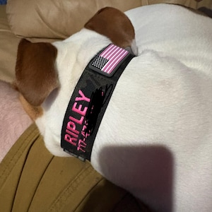Brady added a photo of their purchase