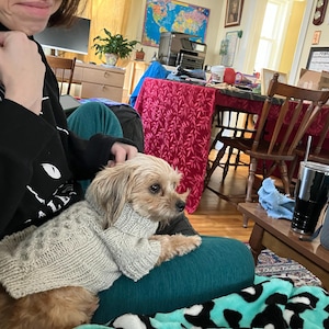 Kelley added a photo of their purchase
